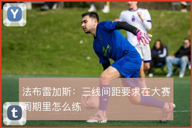 法布雷加斯:三线间距要求在大赛周期里怎么练